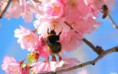 /album/fotogalerie/a180-nature-wallpapers-must-have-171-jpg/